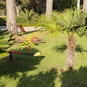 WhatsApp Image 2026-01-28 at 16.15.29