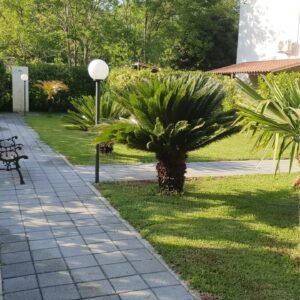 WhatsApp Image 2026-01-28 at 16.15.32 (1)